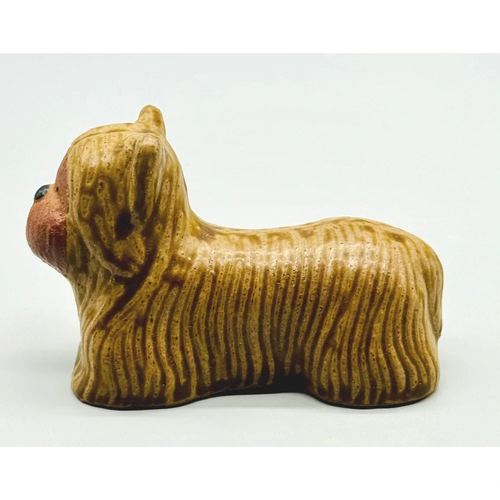 Toscany yorkie terrier